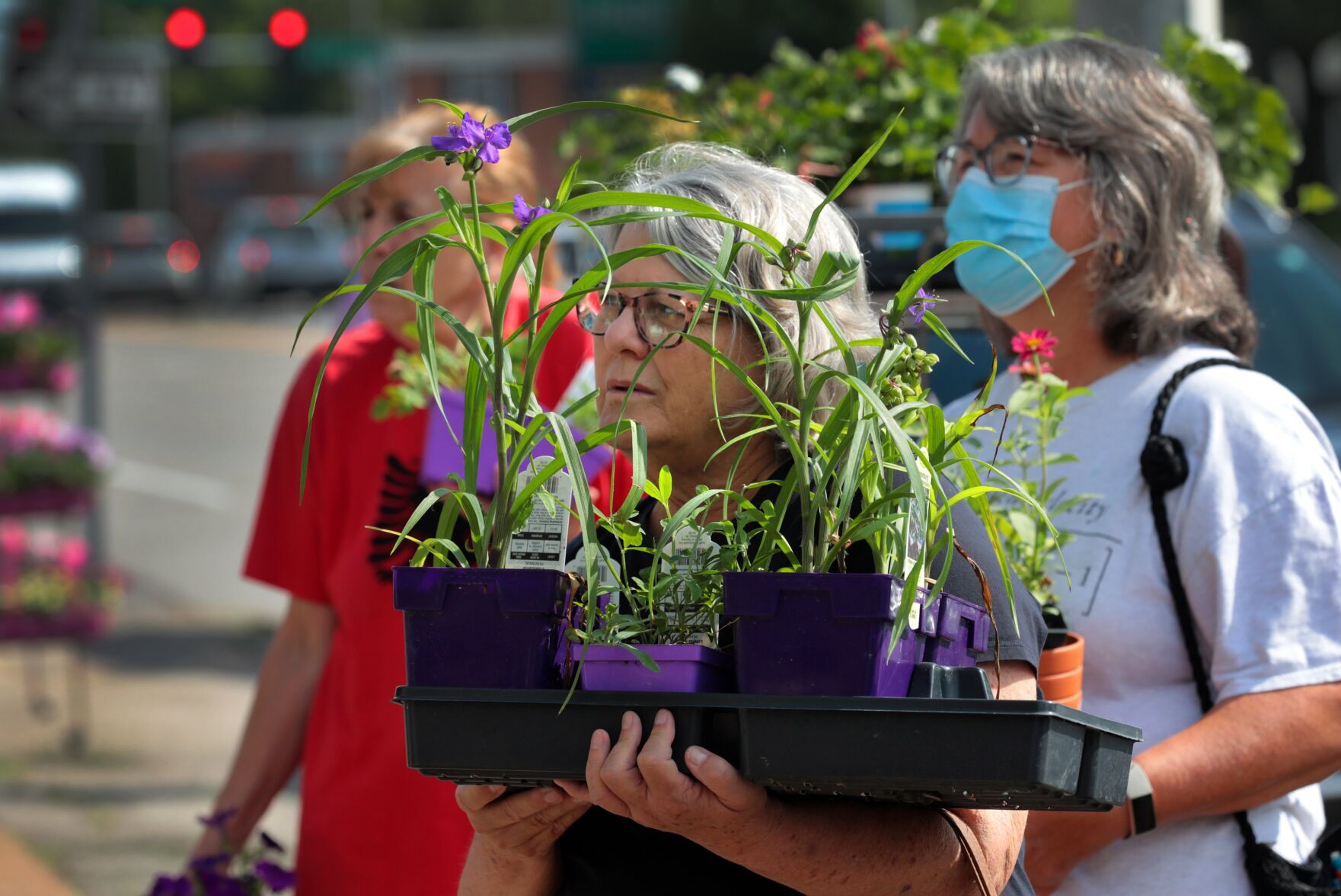 Lack of staff, rising costs bring Bayer's nurseries to closure